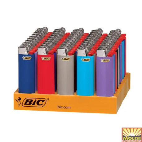 Bic Gas Lighter