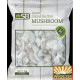 Sb Slice Button Mushroom 500g