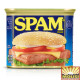 Hormel Spam Classic 340g